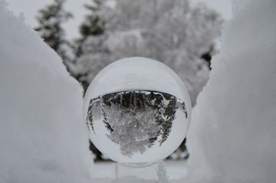 Close-up of crystal ball