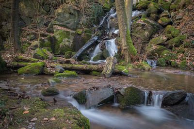 Scenic view of waterfall in forest