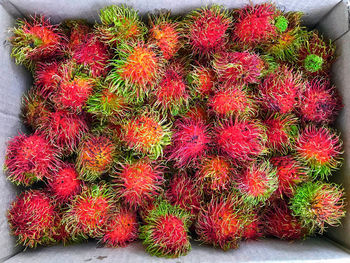 High angle view of strawberries in market