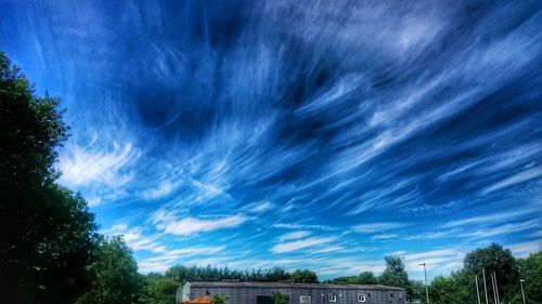 Low angle view of trees against cloudy sky