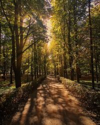 Footpath passing through trees