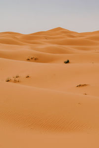 Sand dunes in desert against clear sky