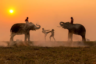 People standing on field against sky during sunset