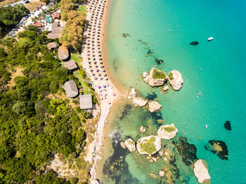 High angle view of plants on beach