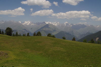 Scenic view of field against sky
