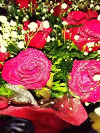 Close-up of red roses in water