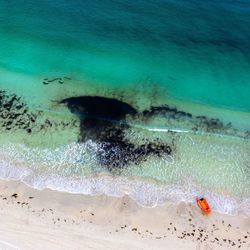 Aerial view of beach