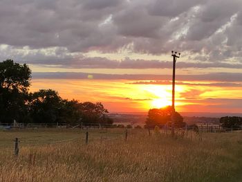 Scenic view of field against sky during sunset