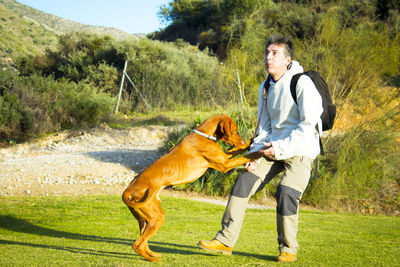 Hungarian dog playing with adult man. summer time