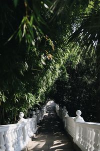 Potted plants in park