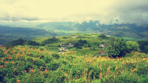 Scenic view of field against cloudy sky