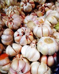 Full frame of garlic