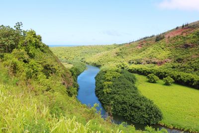 Scenic view of river amidst trees against sky