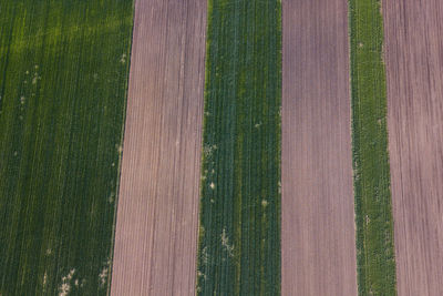 Full frame shot of agricultural field