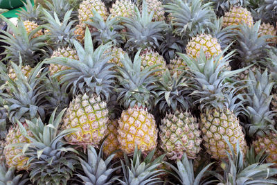 Full frame shot of pineapple fruits at market