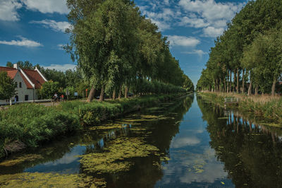 Trees and houses along canal with sky reflected on water in damme. a country village in belgium.