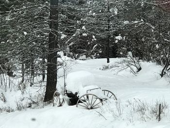 Close-up of bicycle during winter