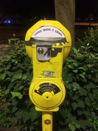 Close-up of yellow telephone on plant at night