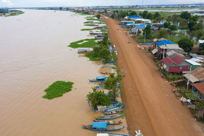 High angle view of plants on beach