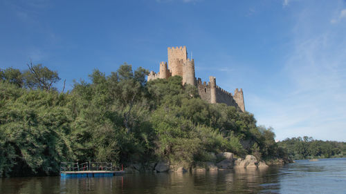 Trees and buildings by river against sky