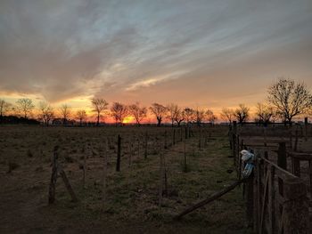 Scenic view of field against sky during sunset