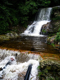Scenic view of waterfall in forest
