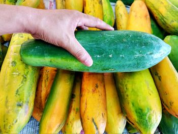 Close-up of hand holding vegetables for sale