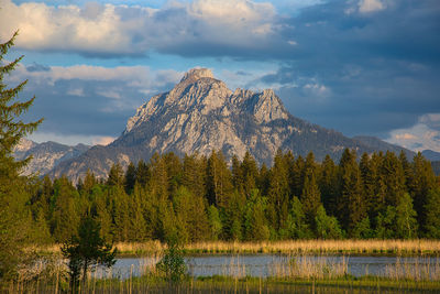 Scenic view of lake by trees against sky