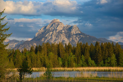 Säuling peak in the golden hour