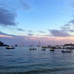 Boats in sea