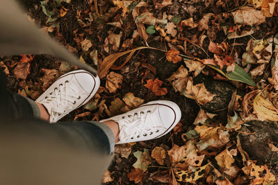 Low section of person with autumn leaves