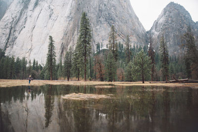 Trees and mountains reflecting on calm lake at yosemite national park