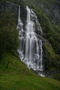 Scenic view of waterfall in forest