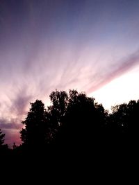 Low angle view of silhouette trees against sky