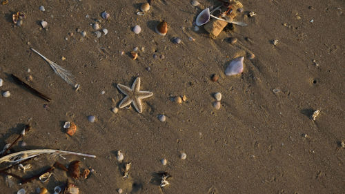 High angle view of sand on beach