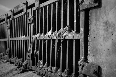 View of an abandoned cage