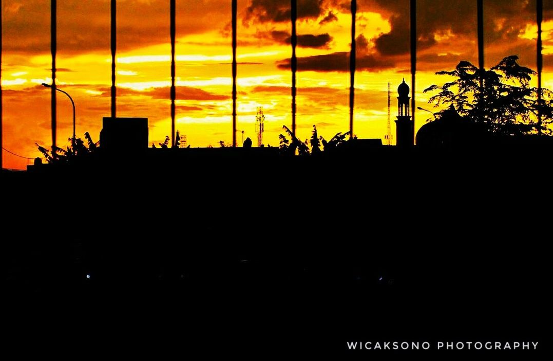 SILHOUETTE TREES AGAINST SKY