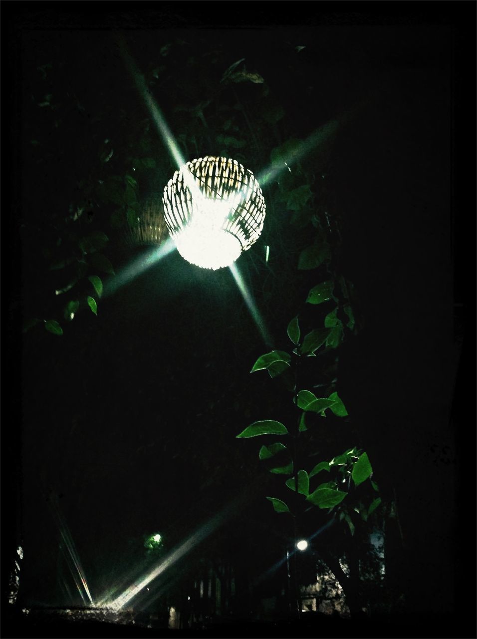 low angle view, illuminated, lighting equipment, night, electricity, hanging, electric light, glowing, street light, light - natural phenomenon, electric lamp, light bulb, ceiling, decoration, sky, tree, light, no people, dark, auto post production filter