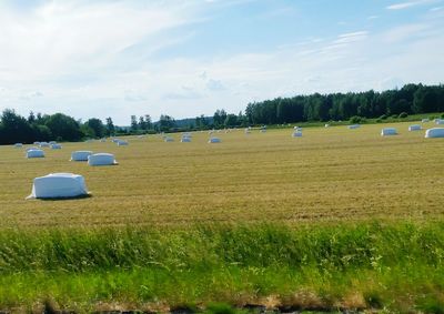 Scenic view of field against sky