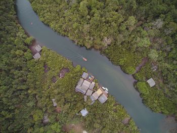 Drone  Bird Eye