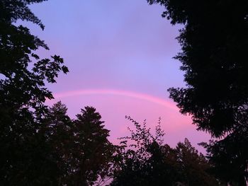 Low angle view of trees against rainbow in sky
