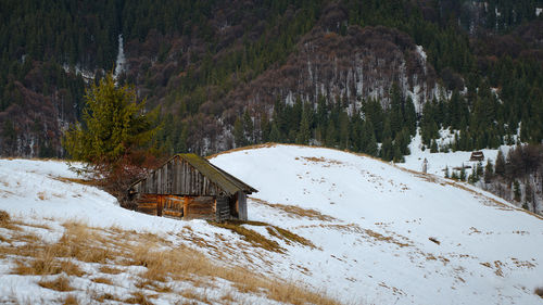 Scenic view of snow covered mountain