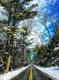 Road amidst trees against clear sky