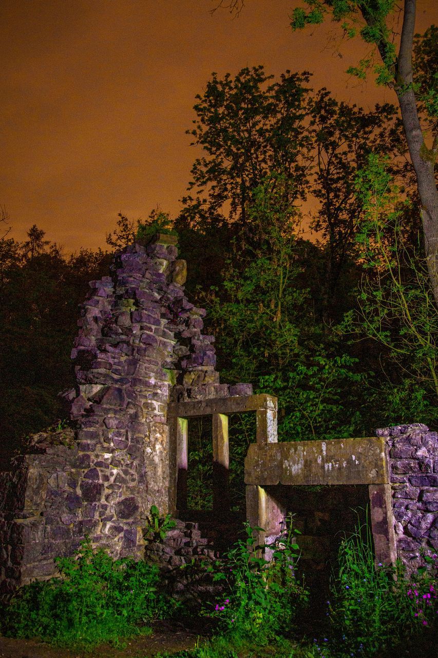 plant, tree, nature, flower, architecture, no people, night, history, land, the past, built structure, outdoors, growth, autumn, beauty in nature, grave, evening, sky, leaf, travel destinations, ancient, grass, travel, ruins