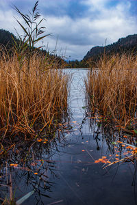 Scenic view of lake against sky