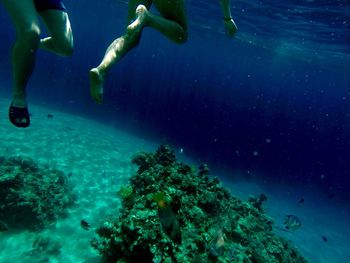 Low section of people swimming in sea