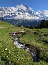 Scenic view of stream by snowcapped mountains against sky