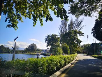 Road by trees in city against sky