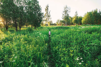 Person standing on field