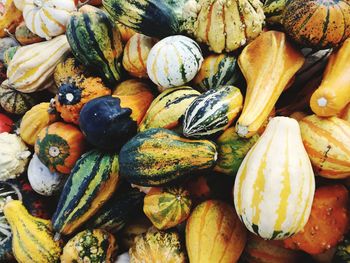 Full frame shot of pumpkins for sale at market